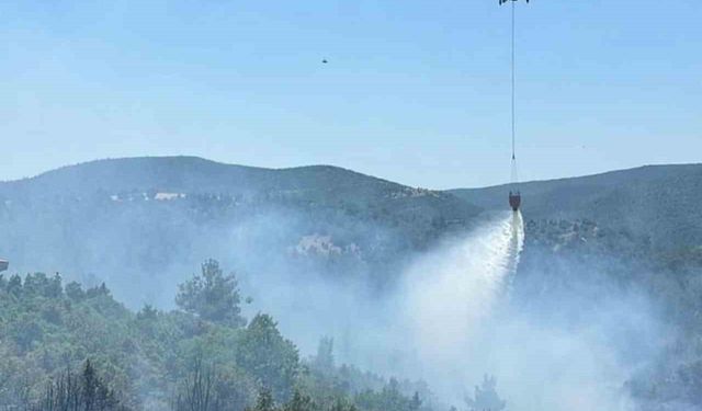 Bilecik’teki orman yangınına hem havadan hem karadan müdahale edildi