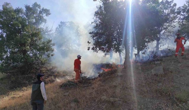 Bingöl’de iki ayrı bölgede çıkan yangınlar söndürüldü