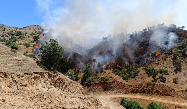 Bingöl’de iki ayrı ilçedeki orman yangınları söndürüldü