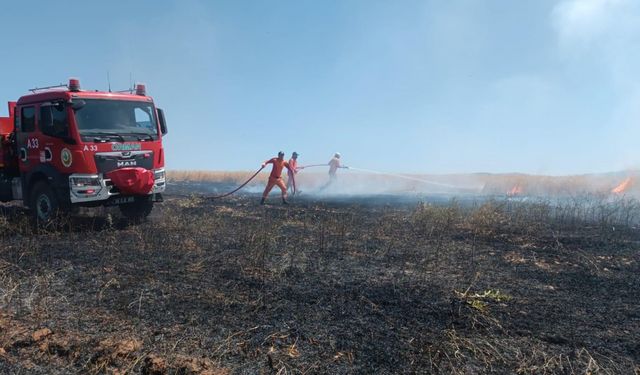 Bingöl’de yaklaşık 100 dönümlük tarım alanı yandı