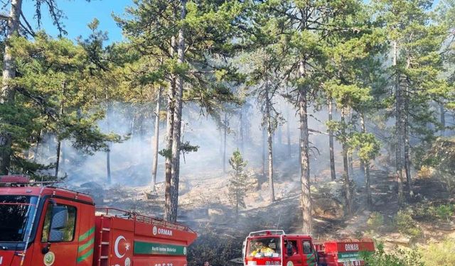 Bozdoğan Kaymakamlığı’ndan orman yangını uyarısı
