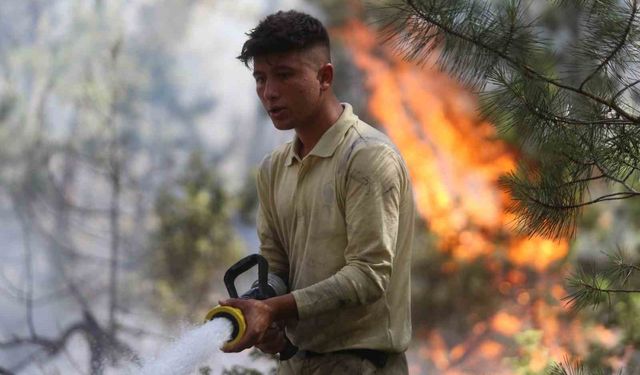 Bursa’da çıkan yangınlarda 490 futbol sahası büyüklüğünde alan yandı