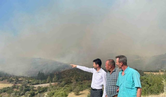 Bursa’daki orman yangınına havadan müdahale sürüyor