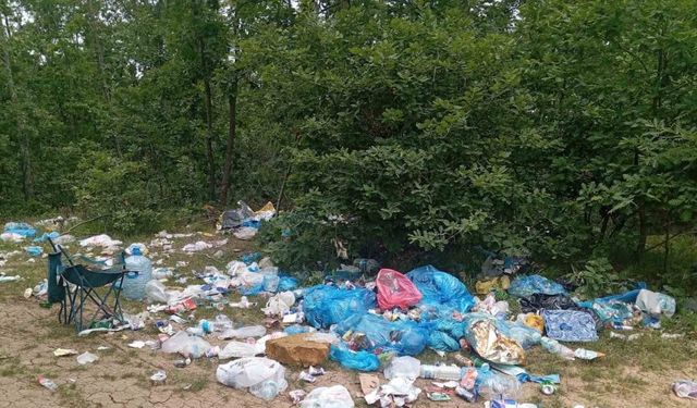 Bursalı doğaseverler 5 Haziran Dünya Çevre Günü kapsamında çöp topladı