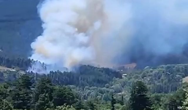 Bursa’nın dağ ilçesinde orman yangını