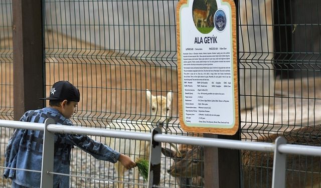 Büyükşehir Hayvanat Bahçesi, Kurban Bayramı’nda ücretsiz