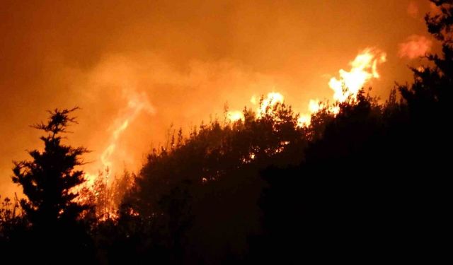 Çanakkale’de orman yangını devam ediyor