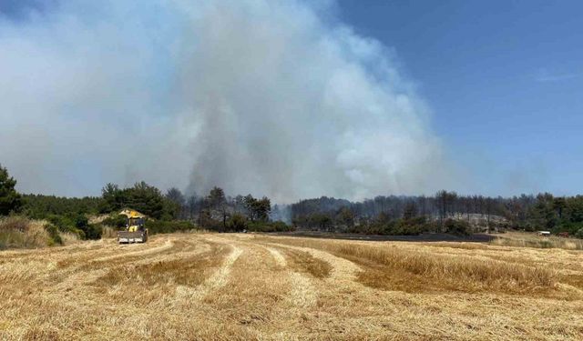 Çanakkale’de orman yangınına 9 uçak ve 5 helikopterle müdahale ediliyor