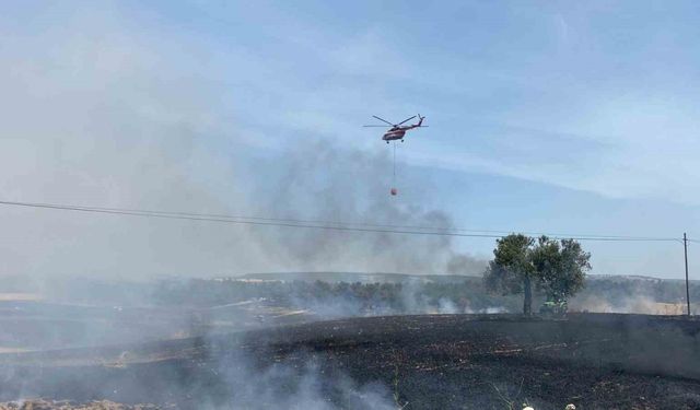 Çanakkale’de tarım alanında başlayan yangın devam ediyor