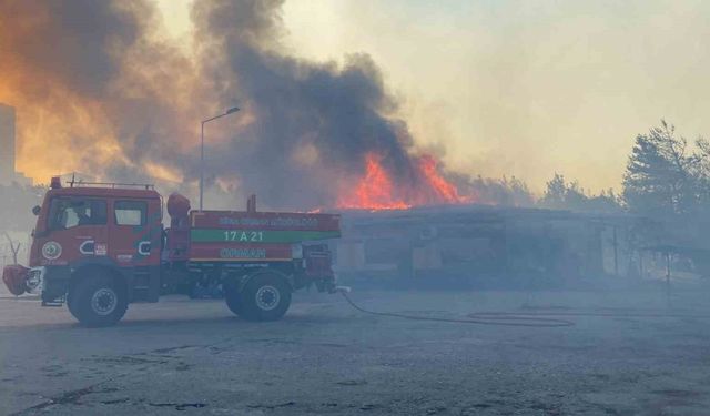 Çanakkale’deki yangında alevler çimento fabrikası liman tesislerine ulaştı