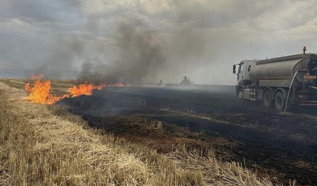 Cizre’de düşen yıldırımlar yangına neden oldu, 360 dönüm buğday küle döndü