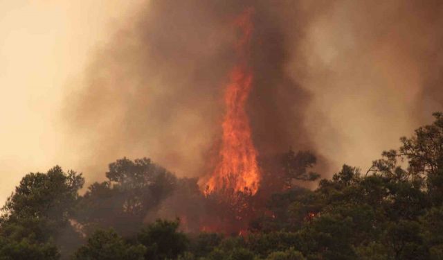 Datça’da orman yangınlarına karşı ek önlemler alındı