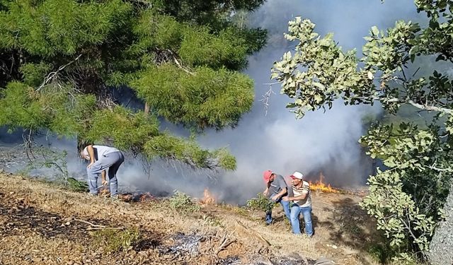 Denizli’de orman yangını