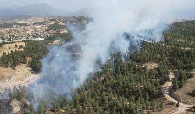 Denizli’de yerleşim yerlerine yakın bölgede orman yangını çıktı