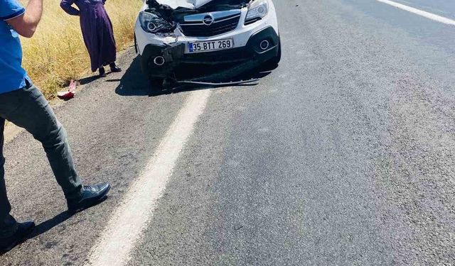 Diyarbakır’da yol kenarında oturan 2 kişiye otomobil çarptı
