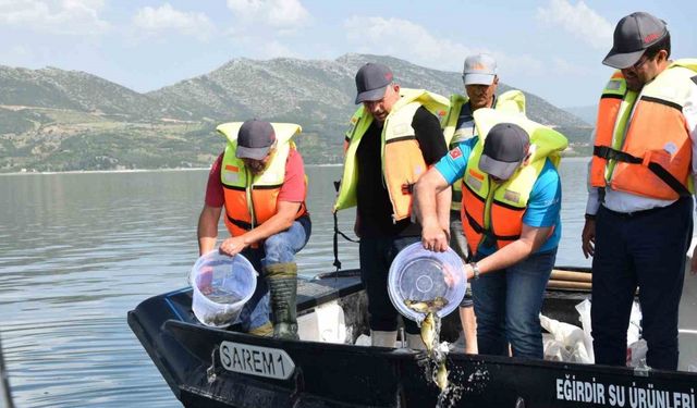 Eğirdir Gölü’ne 5 bin sazan balığı bırakıldı