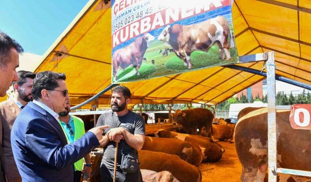 Esenyurt Belediye Başkanı Özer kurban pazarını ziyaret etti