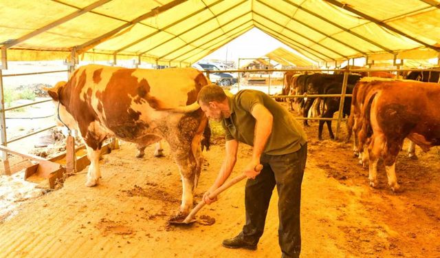 Esenyurt Belediyesi tarafından hayvansal atıklardan organik gübre elde ediliyor