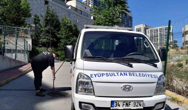 Eyüpsultan’da ilaçlama çalışmaları sürüyor