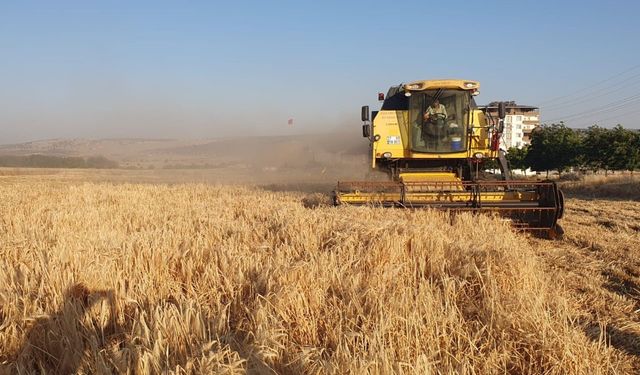 Gaziantep’te arpa ve buğday hasadı başladı