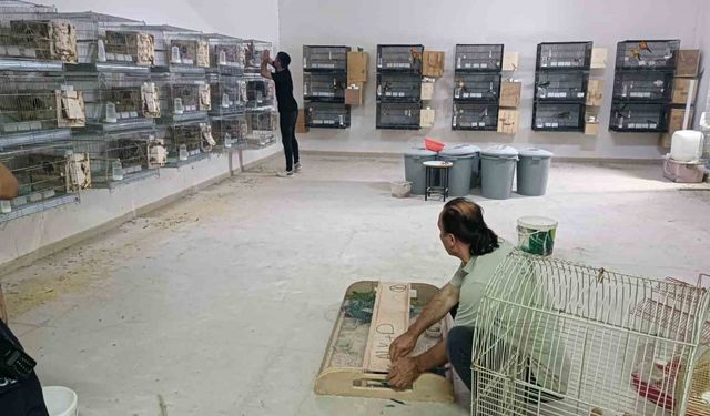 Giyim mağazasında kaçak üretilen 77 papağana el konuldu, 41 bin TL ceza kesildi