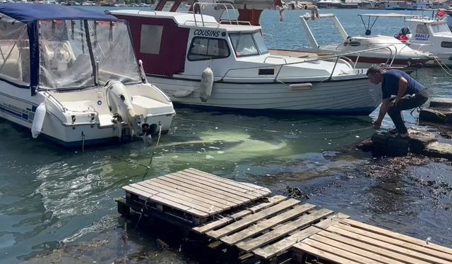 Haliç Sahili’nde sürücüsünün yol kenarına park ettiği otomobil denize düştü: Sürücü son anda kurtuldu