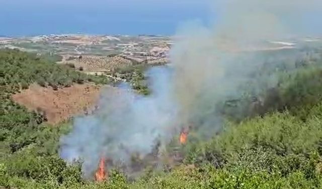 Helikopterle müdahale edilen orman yangını kısa sürede söndürüldü