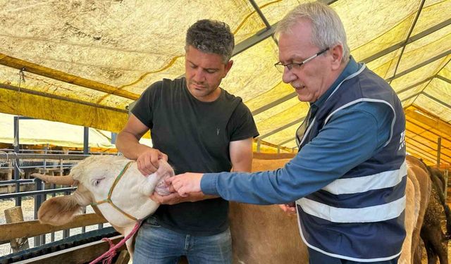 İhlas Vakfı Kurban Bayramı’nda faaliyetlerini sürdürüyor