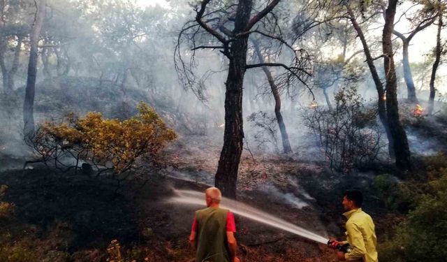 İzmir Büyükşehir, orman yangınları için teyakkuza geçti