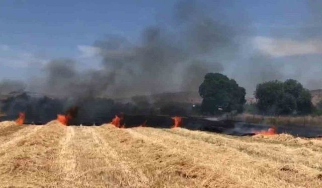 İzmir’de ekin tarlasında yangın: 30 dekar alan kül oldu