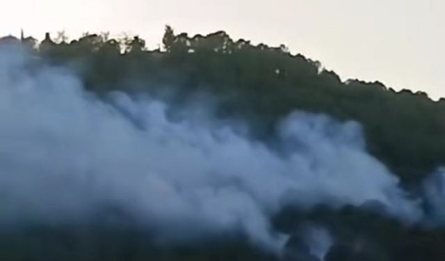 İzmir’de ormanlık alanda çıkan yangın kontrol altında