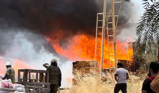 İzmir’de palet depolarında yangın: 3 iş yeri yandı