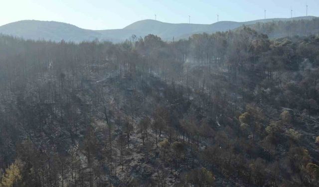 İzmir’de yangının çıktığı nokta olarak değerlendirilen bölge havadan görüntülendi