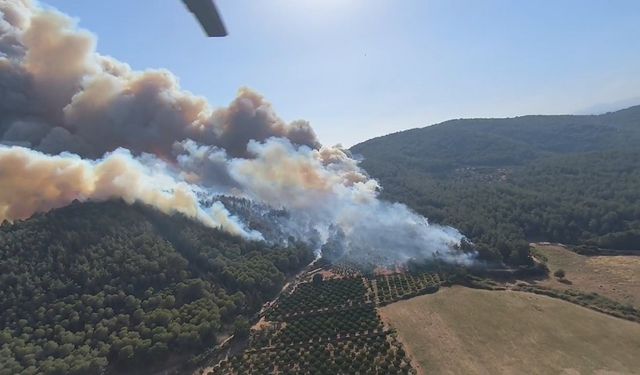 İzmir’in Menderes ve Çeşme ilçelerinin ardından Selçuk ilçesi Pamucak mevkiinde de yangın çıktı. Yangına 4 helikopter ve 5 uçak ile havadan ve karadan müdahale ediliyor.