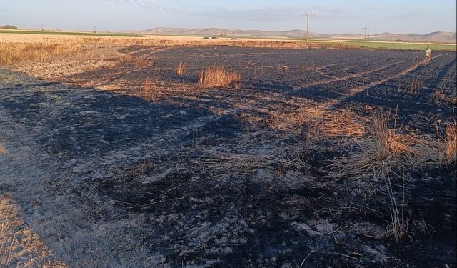 Karapınar’da buğday ekili tarla yandı
