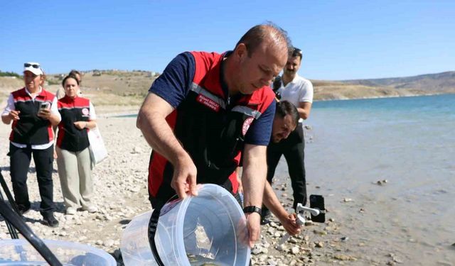 Kayseri’de sulara 1 buçuk milyon balık bırakıldı