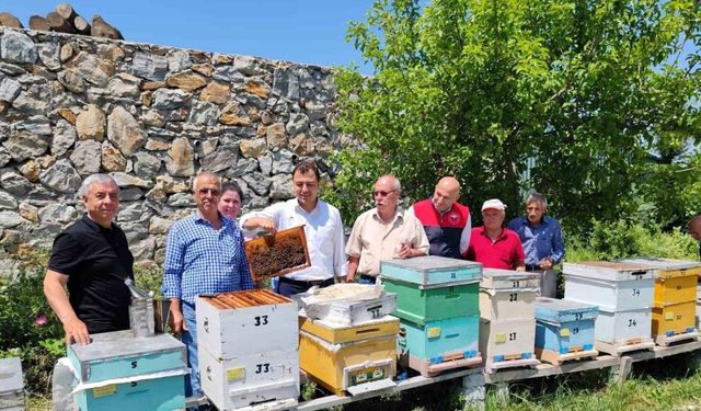 Kırklareli’nde "ana arı" dağıtımı