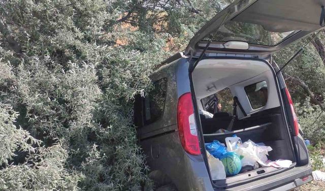 Konya’da hafif ticari araç ağaçlara çarptı: 4 yaralı