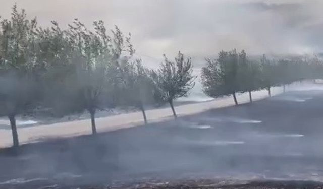 Köy yakınında çıkan yangın korkuttu