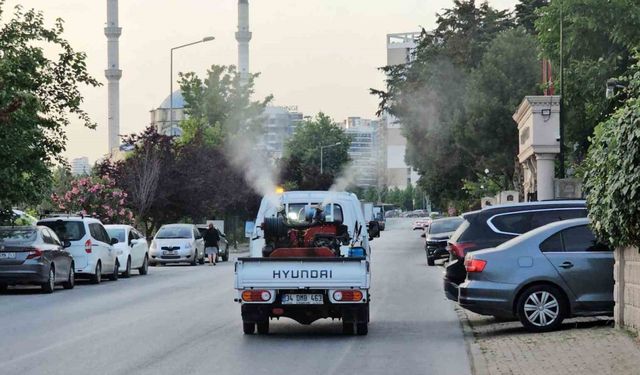 Küçükçekmece Belediyesi sivrisineklere karşı alarmda