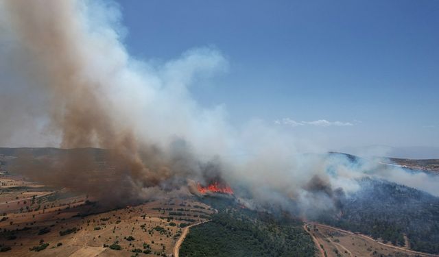 Kula’daki orman yangını kontrol altına alındı