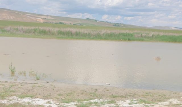 Kuraklık nedeniyle kuruyan göl yeniden doldu
