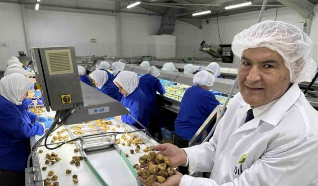 Kuru meyve sektöründe ihracat şampiyonlarının ilk 11’inin 10’u Egeli