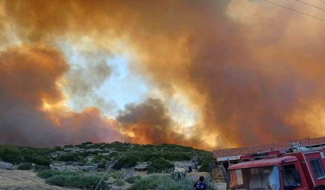 Manisa Salihli’deki orman yangını kontrol altına alındı