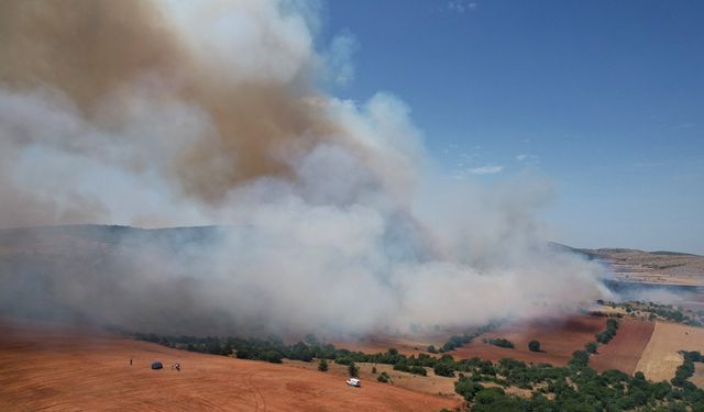 Manisa’da bir günlüğüne biçerdöver kullanımı yasaklandı