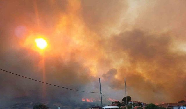 Manisa’daki orman yangını evleri tehdit etti