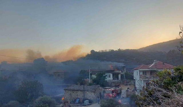 Manisa’daki yangına müdahale sürüyor: 300 hektar alan ile evler zarar gördü