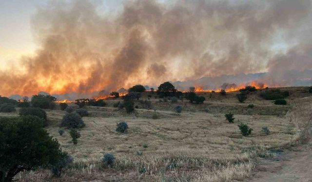 Mardin’de ormanlık alanda çıkan yangın söndürüldü