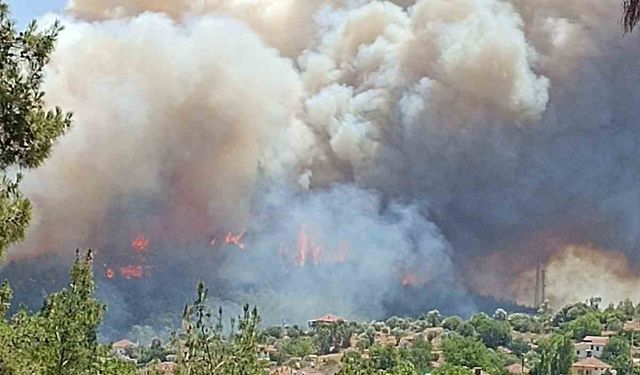 Menderes’te orman yangını: Uçaklar ve helikopterler bölgede