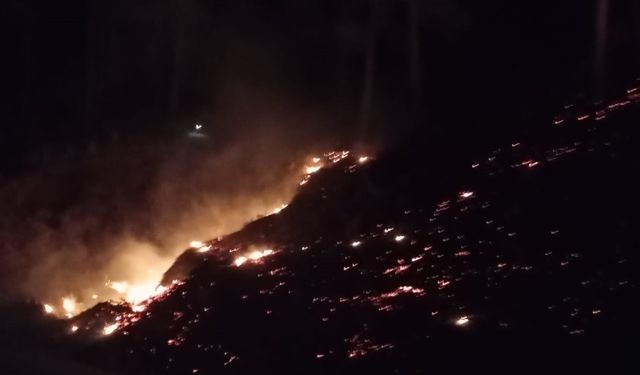 Mersin’de orman yangını: 10 dönüm alan zarar gördü